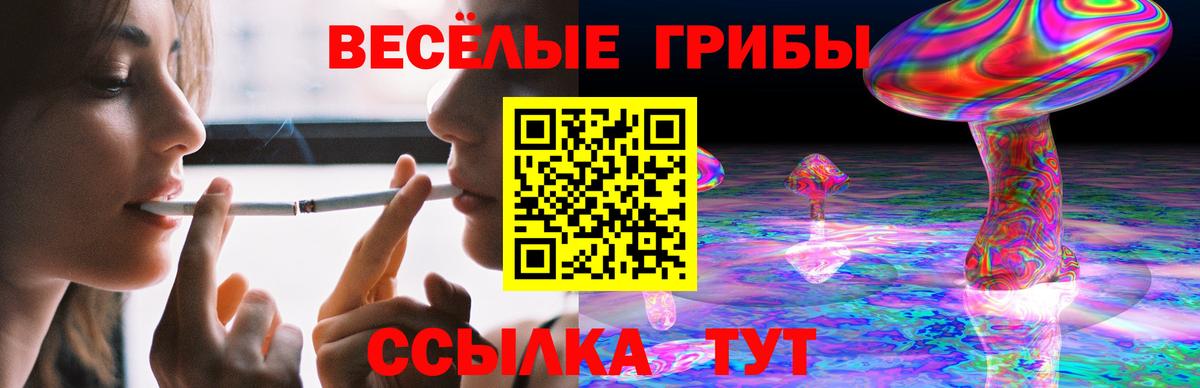 Ликино-Дулёво  Галлюциногенные грибы мицелий  Вход с VPN  Галлюциногенные грибы Psilocybine cubensis 